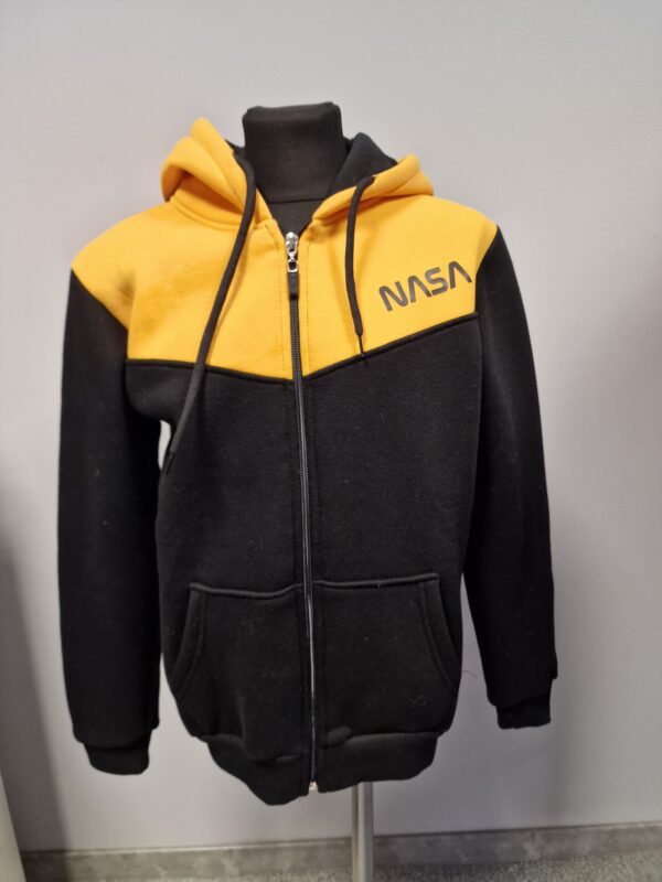 NASA pusa