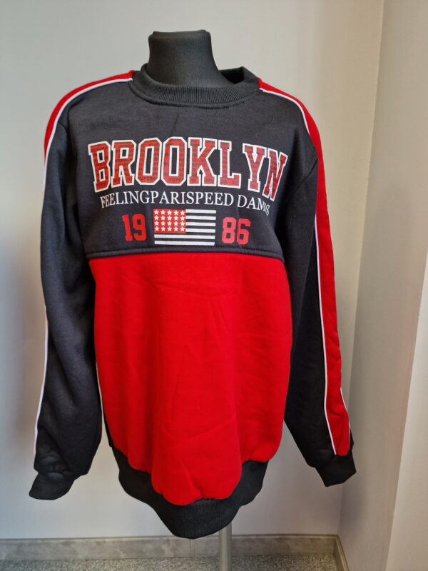 Brooklyni pusa - Image 2