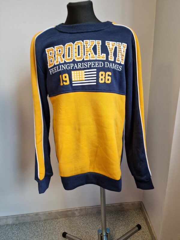 Brooklyni pusa - Image 3