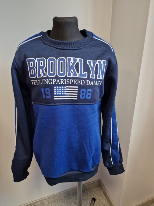 Brooklyni pusa