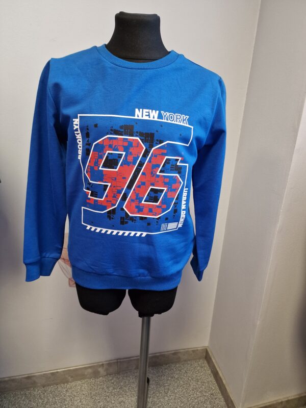 Nr 96 pusa