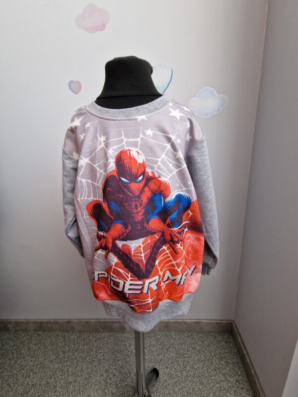 Spiderman - Image 4