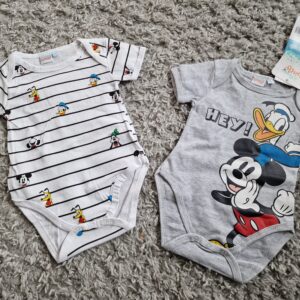 Disney bodid