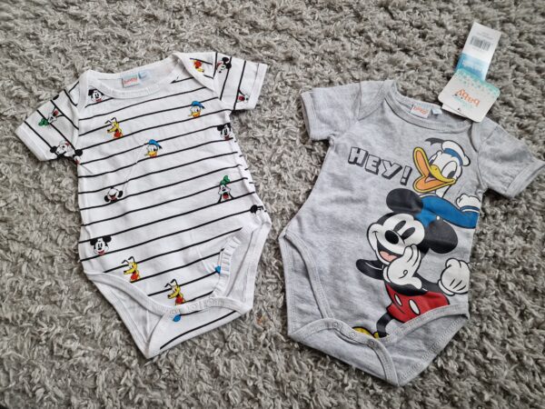 Disney bodid